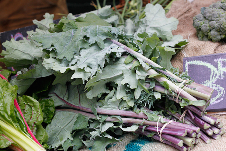 First Root Farm CSA Fourth Pickup #6